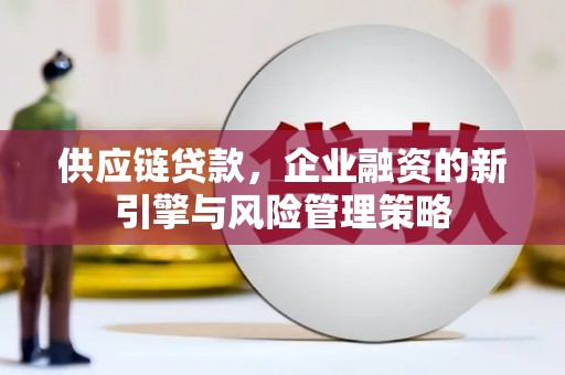 碧江供应链贷款，企业融资的新引擎与风险管理策略