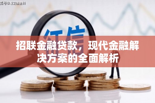 碧江招联金融贷款，现代金融解决方案的全面解析