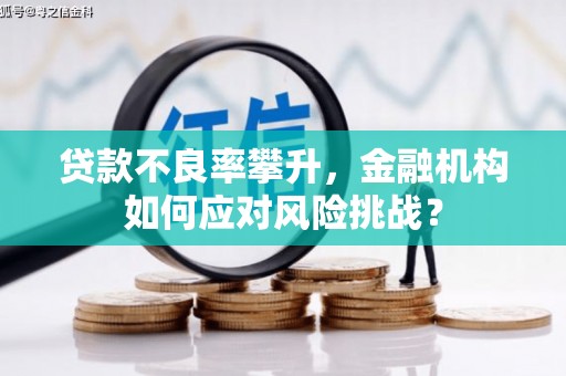 碧江贷款不良率攀升，金融机构如何应对风险挑战？