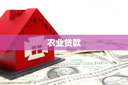 碧江农业贷款
