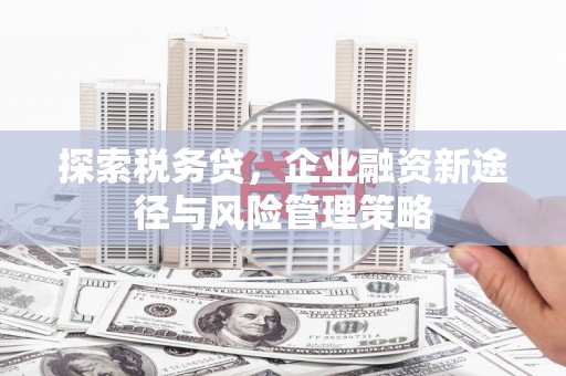 碧江探索税务贷，企业融资新途径与风险管理策略