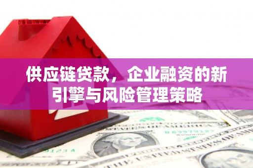 碧江供应链贷款，企业融资的新引擎与风险管理策略