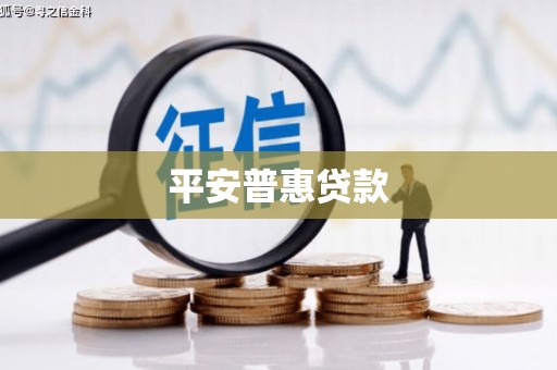 碧江平安普惠贷款