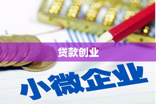 碧江贷款创业