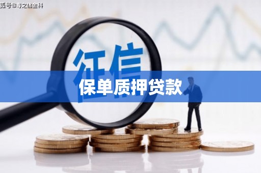 碧江保单质押贷款