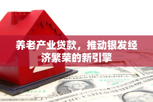 碧江养老产业贷款，推动银发经济繁荣的新引擎