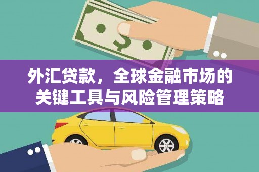 碧江外汇贷款，全球金融市场的关键工具与风险管理策略