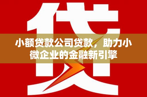 碧江小额贷款公司贷款，助力小微企业的金融新引擎
