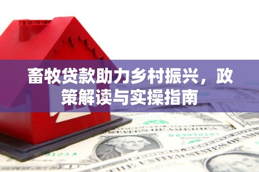 碧江畜牧贷款助力乡村振兴，政策解读与实操指南