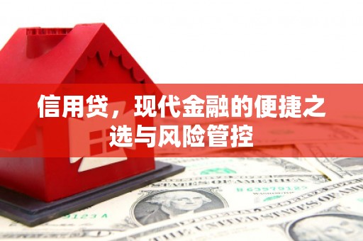 碧江信用贷，现代金融的便捷之选与风险管控