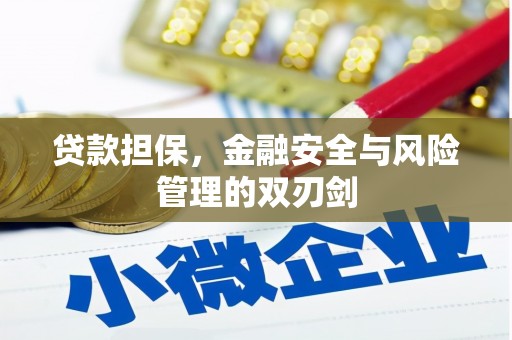碧江贷款担保，金融安全与风险管理的双刃剑