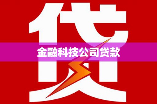 碧江金融科技公司贷款