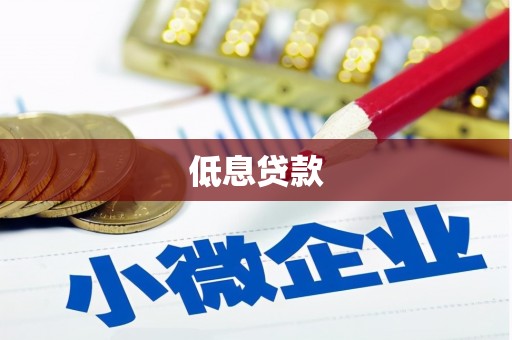 碧江低息贷款