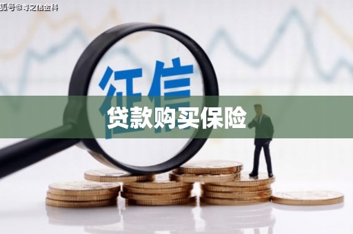 碧江贷款购买保险