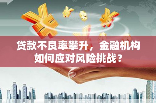 碧江贷款不良率攀升，金融机构如何应对风险挑战？