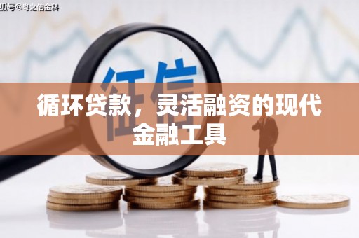 碧江循环贷款，灵活融资的现代金融工具