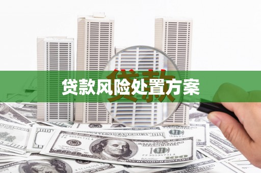 碧江贷款风险处置方案